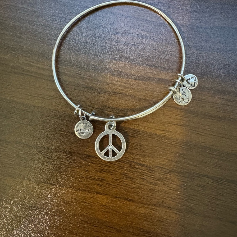 Alex and Ani Charm Bangle Bracelet